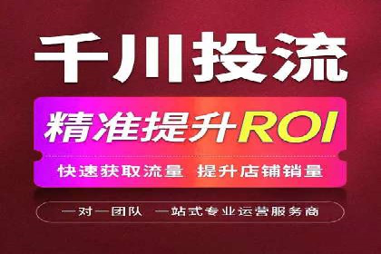 成功SEM投放案例分享
